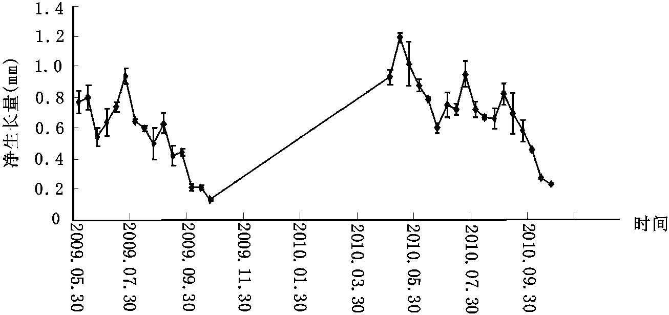 6.3 幼苗個(gè)體生長規(guī)律